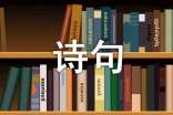 關(guān)于龍的詩(shī)句(精選230句)